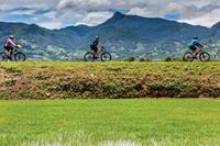 Enjoying the ride on the 'Vietnam by Bike' trip. Image credit: Richard I'Anson
